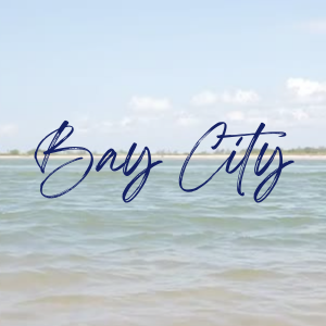 Texan Title Bay City