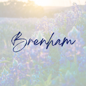 Texan Title Brenham